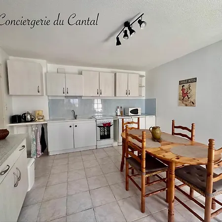 - Duplex 2-4 Personnes * Murat (Cantal)
